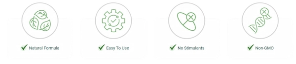 DigestiStart Features