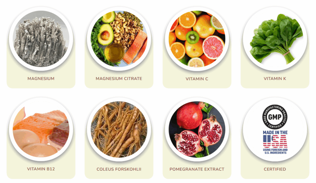 HydroLean XT Gold Ingredients