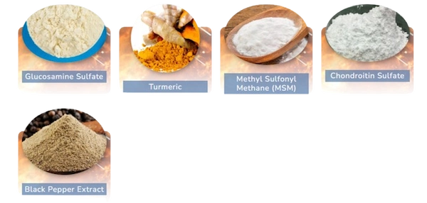 MoveWell Daily Ingredients