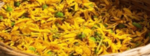 Arnica Montana Flower Extract
