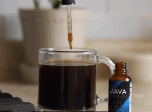 Java-Brain-uses