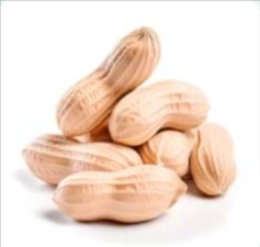 L-Arginine