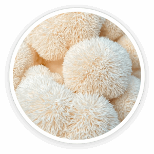 Organic-Lions-Mane