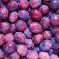 Plum
