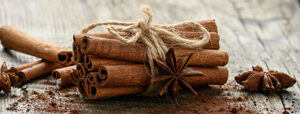 cinnamon-bark
